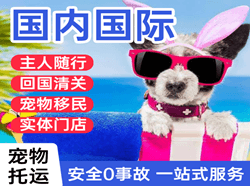 澜沧景迈机场快运国际宠物托运 【国